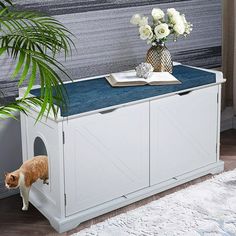 an orange and white cat standing on top of a wooden cabinet next to a potted plant