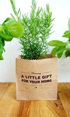 a plant in a paper bag sitting on top of a wooden table