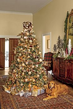 a dog laying on the floor next to a christmas tree with presents wrapped around it