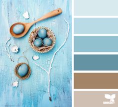 blue and brown color scheme with eggs