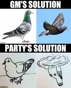 four different types of birds with captioning in the bottom right hand corner, which reads gm's solution party's solution