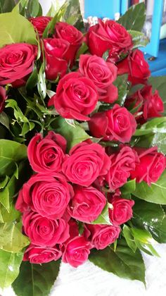 a bouquet of red roses sitting on top of a white table next to green leaves