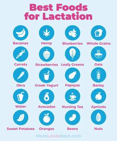 Foods For Lactation