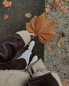 a person holding an orange leaf in their hand on the ground next to some leaves