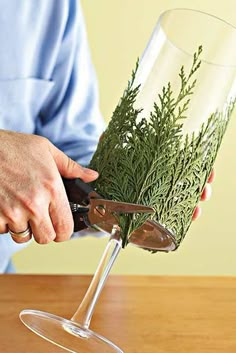 a person holding a wine glass filled with greenery on top of a wooden table