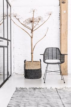 a room with a chair and a tree in the corner, next to a rug