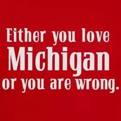 the back of a gray shirt that says, either you love michigan or you are wrong