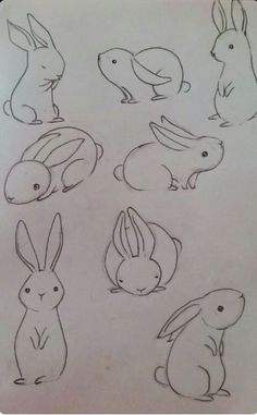 some drawings of rabbits sitting on top of each other in different positions and sizes,