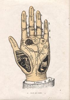 Italian Palm Reading Collage Pieces, Palm Reading, Arte Popular, Art And Illustration, The Palm, Henna Tattoo, Reiki, Circles, Witch