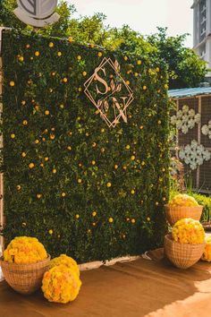 an outdoor area with oranges and flowers on the ground, surrounded by greenery