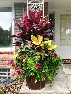 a large potted plant sitting on the side of a house