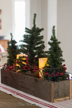 small christmas trees in a wooden box with candles