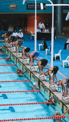 swimmers are lined up to start the race