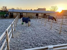 two horses are standing in their pen at sunset