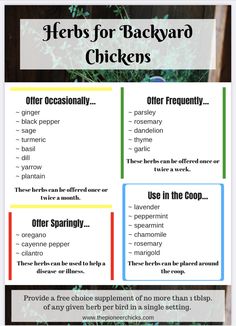 a menu for backyard chickens with instructions on how to cook them and what to put in it