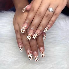 Brown Cow Nails, Brown Cow Print Nails, Cow Print Nail Designs, Cow Print Nails, Brown Cow Print, Cow Nails, Long Nail Designs, Brown Cow, Long Nail