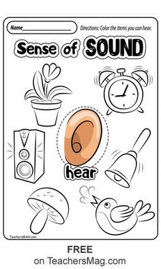 a coloring page with the words sense of sound