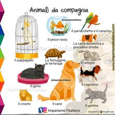 an image of animals that are in a cage with the caption animali da compognia