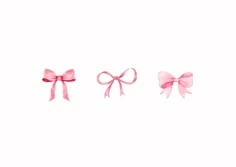 three pink bows on white background