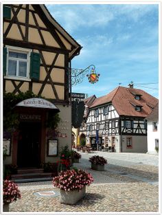 an old building with flowers in front of it on a cobblestone street lined with potted plants