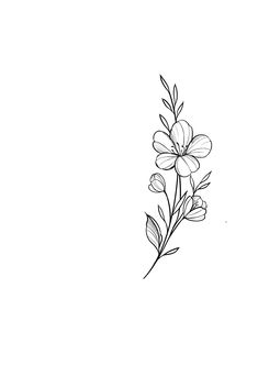 a black and white drawing of some flowers