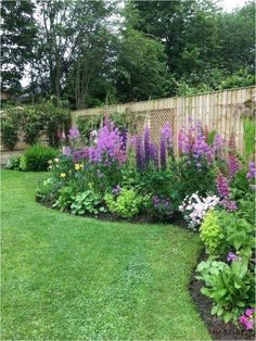 a garden filled with lots of purple flowers next to a wooden fence and lush green grass