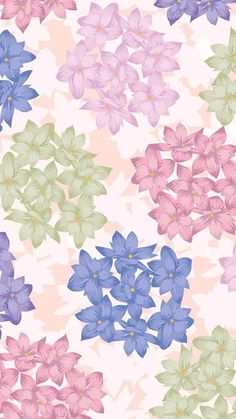 an image of colorful flowers on a pink background