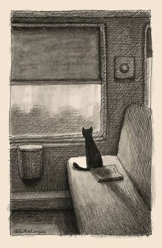 a black cat sitting on top of a wooden table next to a window in a train