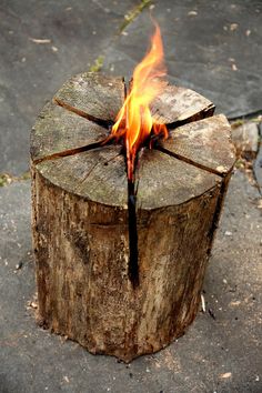 a fire is burning in the middle of a tree stump