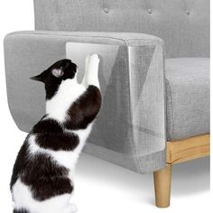 a black and white cat reaching into a gray couch