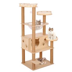 two cats sitting on top of a cat tree