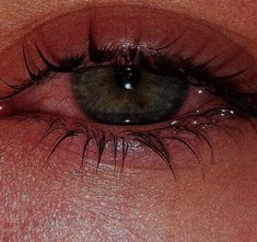 a close up view of an eye with long lashes