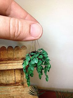 a hand holding a small green plant on top of a wooden shelf