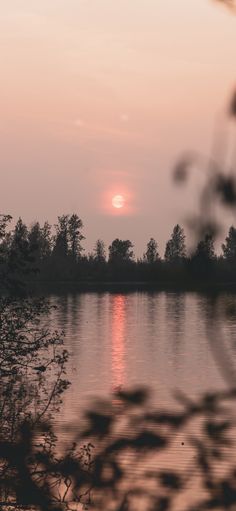 the sun is setting over a body of water with trees in the foreground and bushes in the foreground