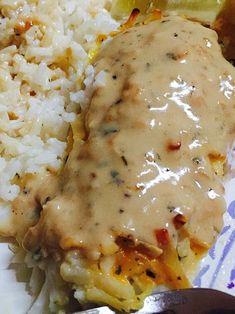 a plate with rice, meat and gravy covered in gravy on it