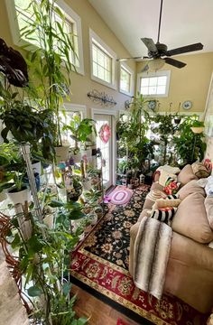 a living room filled with lots of plants and furniture