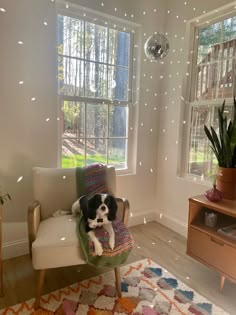 a black and white dog laying on top of a chair in front of a window