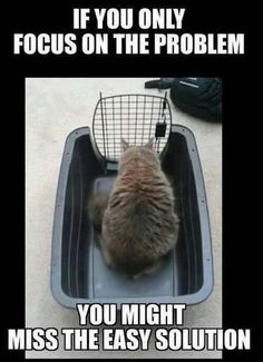 a cat sitting in a litter box with its head on the back of it's cage