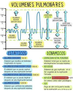 a diagram showing the different types of plasmas and their functions in human body systems