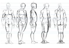 a drawing of the body and torso in three different positions, with one standing on each side