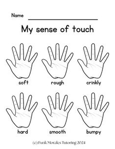 a hand chart with different types of hands and the words'my sense of touch '