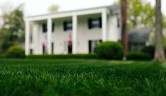 green grass in front of a white house