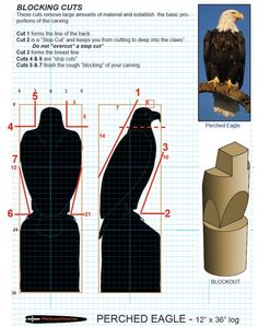 an eagle is sitting on top of a piece of paper with measurements and instructions to make it