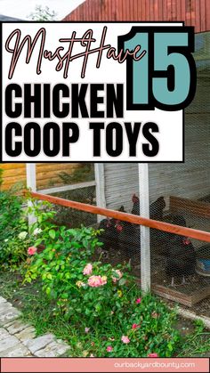 chickens in their coop with the words must have 15 chicken coop toys on it's side