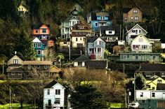 many houses on the hillside with trees in the background