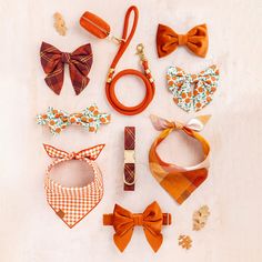 an assortment of bow ties and collars laid out on top of a white surface