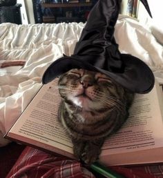 a cat wearing a witches hat laying on top of an open book with its eyes closed