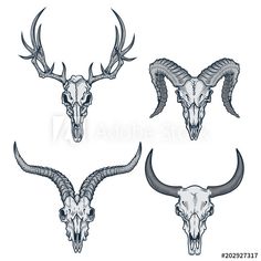 three skulls with long horns are shown in this drawing technique, and each skull has an intricate