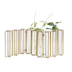 four glass vases with plants in them on a white background, one is gold and the other is clear