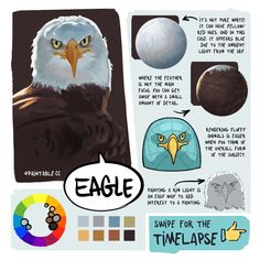 an eagle is shown with different colors and shapes to describe it's features in the image